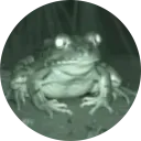 frong logo