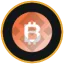 BitMine Immersion Technologies Tokenized bStocks logo