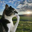 Thinking Cat logo