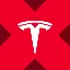 Wrapped Tesla Tokenized stock (xStock) logo