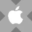 Wrapped Apple Tokenized stock (xStock) logo