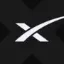 Wrapped SpaceX Tokenized ETF (xStock) logo