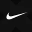 Wrapped Nike Tokenized Stock (xStock) logo