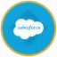 Salesforce Tokenized bStocks logo
