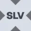 Wrapped iShares Silver Trust Tokenized ETF (xStock) logo