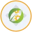 CEA Industries Tokenized bStocks logo