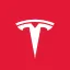 Tesla Inc. Tokenized Stock (Coinbase) logo