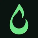 Torch logo