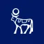 Novo Nordisk A/S Tokenized Stock (Coinbase) logo