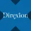 Direxion Daily TSLA Bull 2X Shares tokenized ETF (xStock) logo