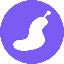 Snail Trail logo