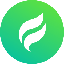 Future Swap logo