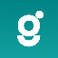 Galvan logo