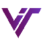 Virtual Coin logo