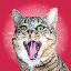 CRAZY CAT logo
