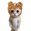 CATWIFHAT logo