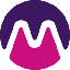 Florence Finance Medici logo