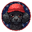 Choppy logo
