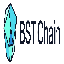 BST Chain logo