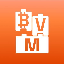Bitcoin Virtual Machine logo