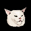 lmeow logo