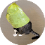 catwifbag logo