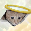 CEILING CAT logo