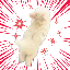 real fast logo