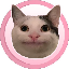 Polite Cat logo