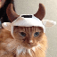 Bullish Degen logo