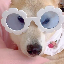 Iro-Chan logo