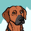 Arky Satoshi's Dog logo