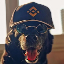 Binancedog logo