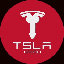 TSLA6900 logo