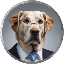 Big Dog Fink logo