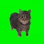 spinning cat logo