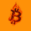 Burncoin logo