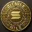 Nile Coin logo