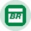 Petrobras Tokenized Stock (Ondo) logo