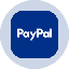 PayPal Tokenized Stock (Ondo) logo