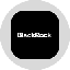 Blackrock, Inc. Tokenized Stock (Ondo) logo