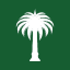 Palm USD logo