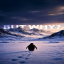 ButWhy logo