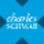 Schwab International Equity Tokenised ETF (xStock) logo