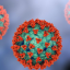 Hantavirus logo