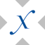 Direxion Semiconductor Bull 3X tokenized ETF (xStock) logo