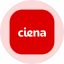 Ciena Tokenized Stock (Ondo) logo