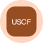 US Copper Index Fund Tokenized ETF (Ondo) logo