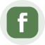 Fabrinet Tokenized Stock (Ondo) logo