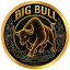 BigBull Decentralized (bigbull.finance) logo